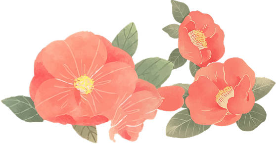 동백꽆 배경